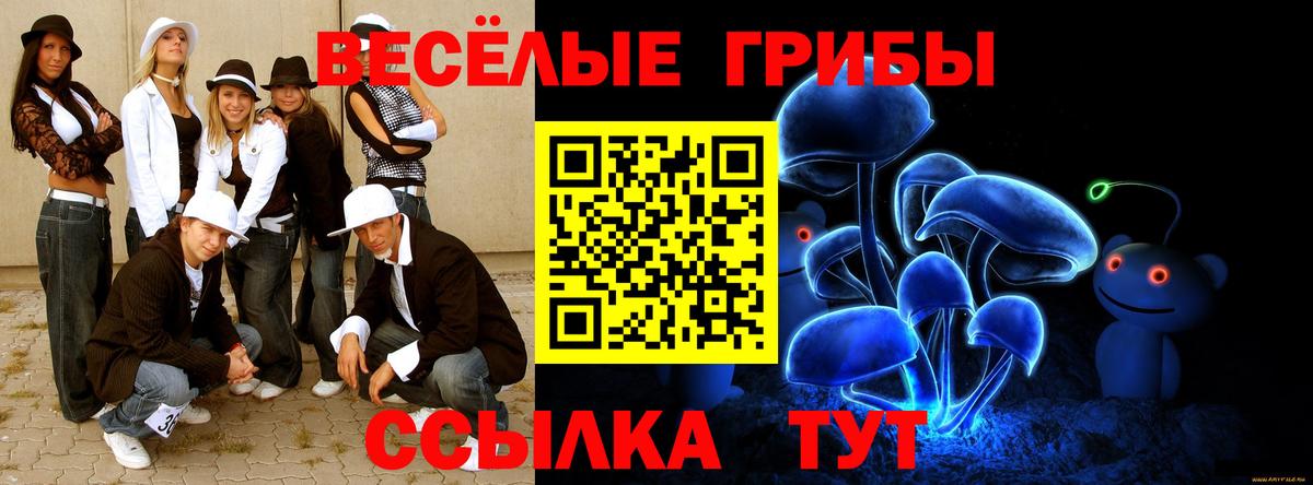 Псилоцибиновые грибы прущие грибы Карачаевск