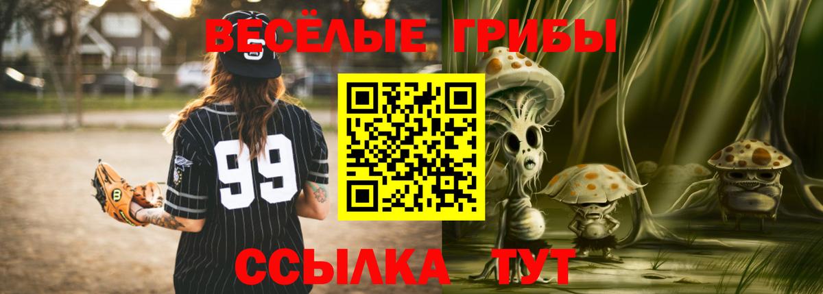 наркошоп  Галлюциногенные грибы Psilocybe  Вход с VPN  Карачаевск 